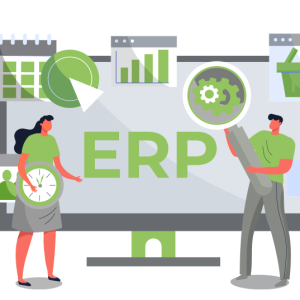 Professional Web Services